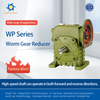 WP Series Worm Gear Reducer