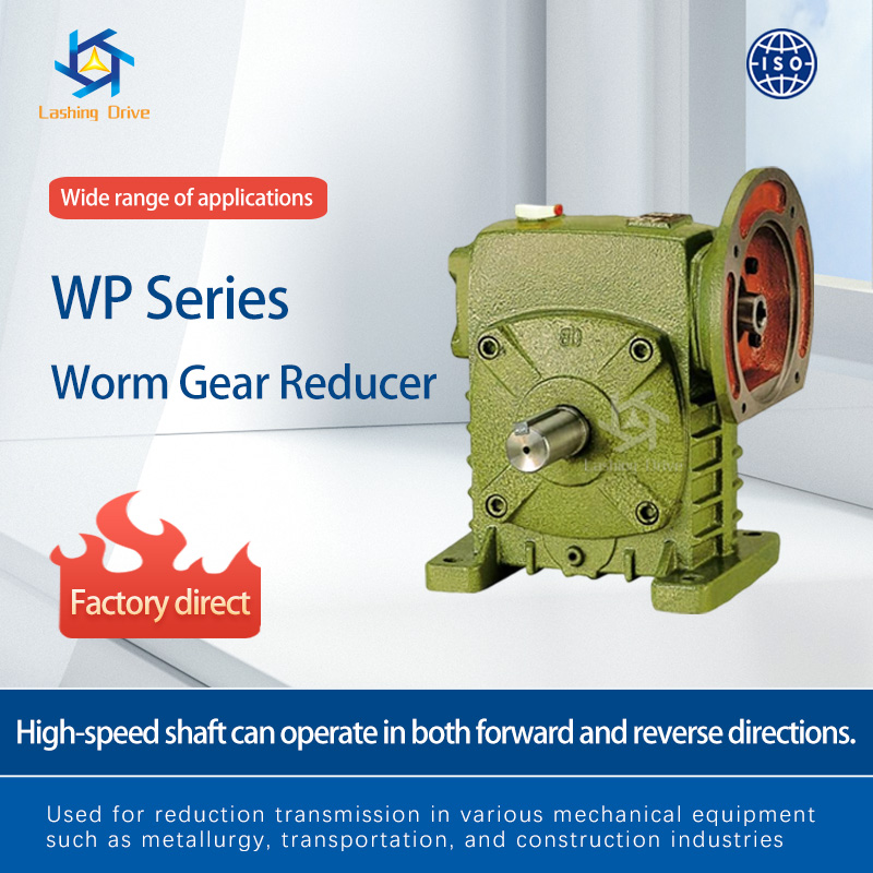 WP Series Worm Gear Reducer
