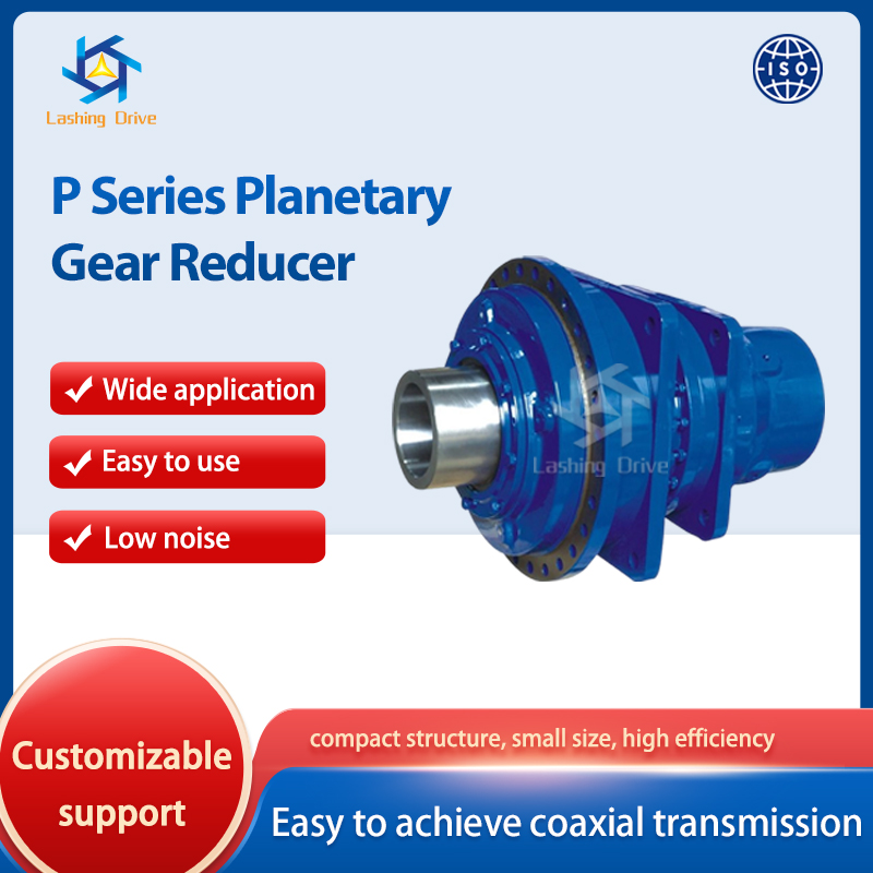 P Series Planetary Gear Reducer