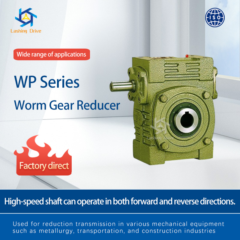 WP Series Worm Gear Reducer