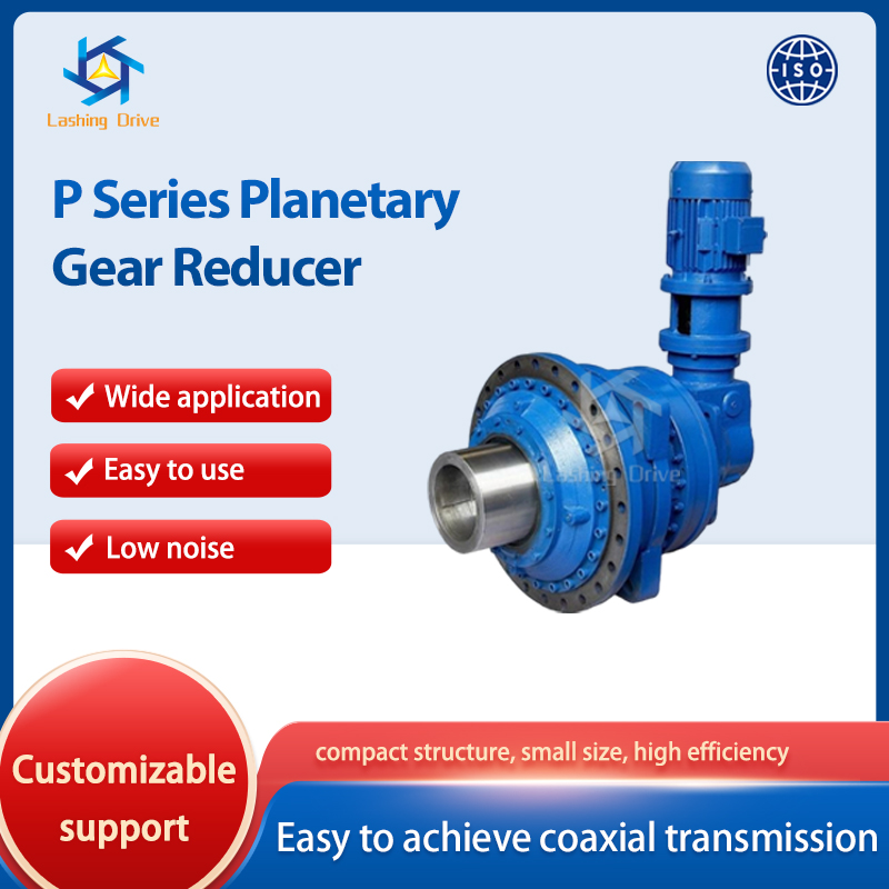 P Series Planetary Gear Reducer