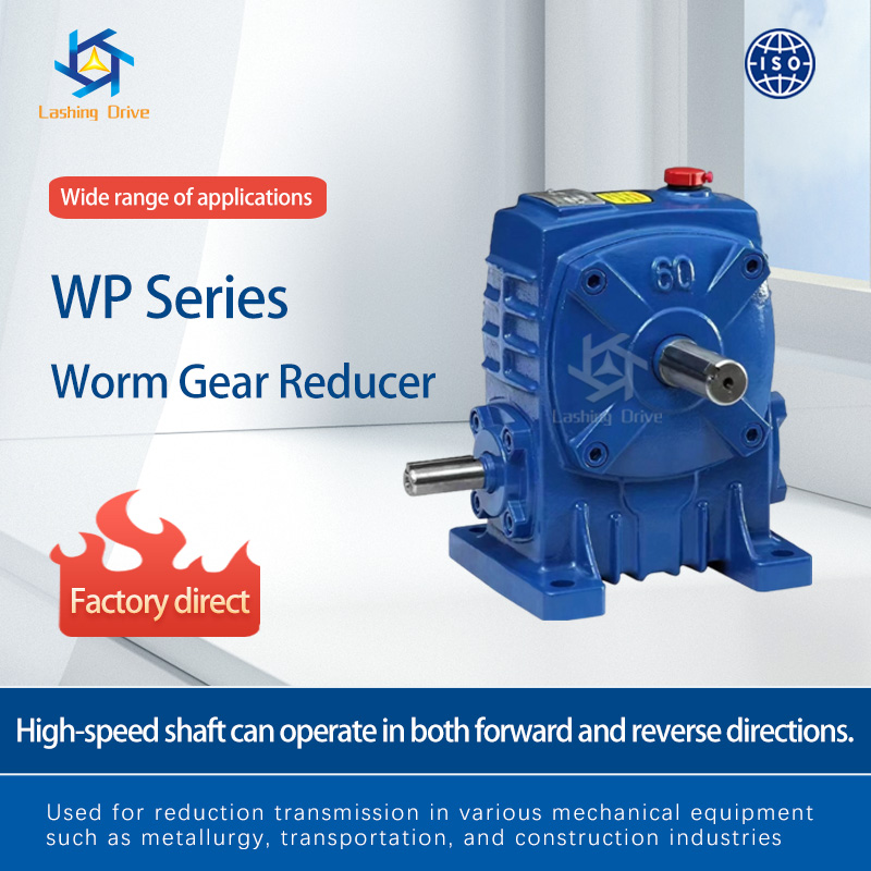 WP Series Worm Gear Reducer