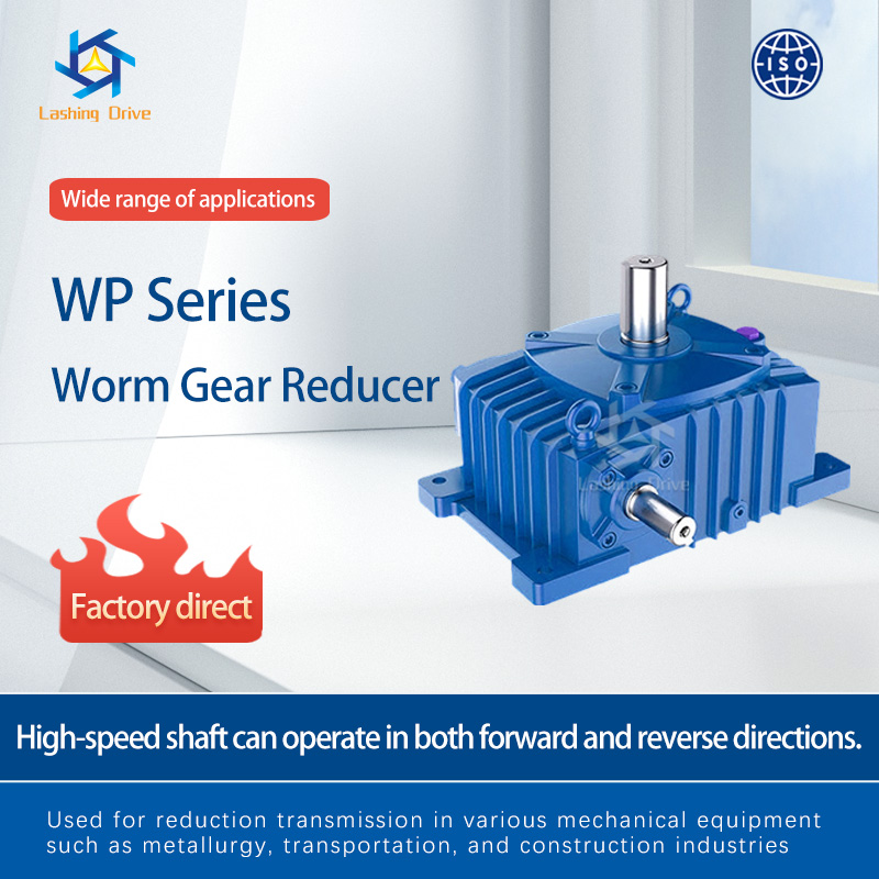 WP Series Worm Gear Reducer