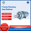 P Series Planetary Gear Reducer