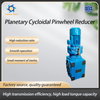 Planetary Cycloidal Pinwheel Reducer