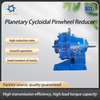 Planetary Cycloidal Pinwheel Horizontal Reducer