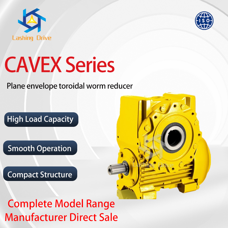 Plane Envelope Toroidal Worm Reducer