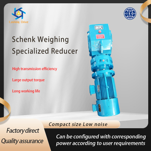 Shenke Weighing Specialized Reducer