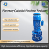 Planetary Cycloidal Pinwheel Reducer