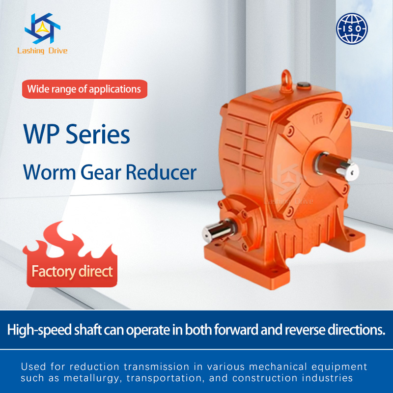 WP Series Worm Gear Reducer