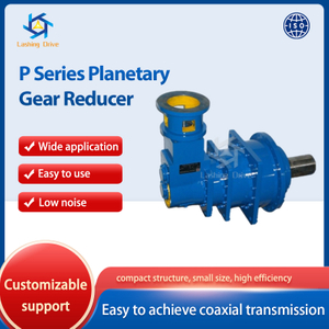 P Series Planetary Gear Reducer