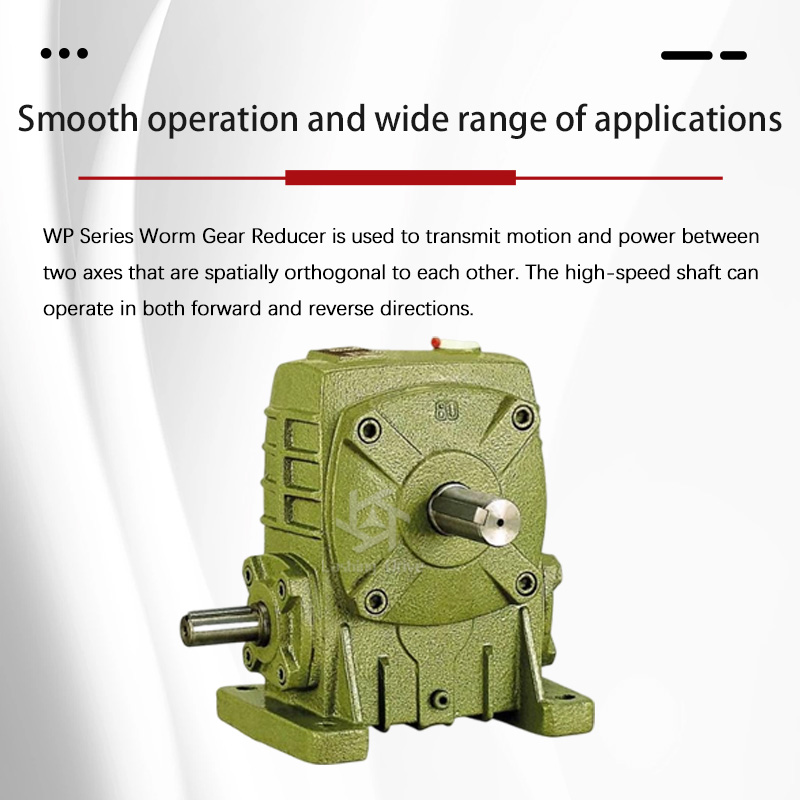 WP Series Worm Gear Reducer