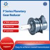 P Series Planetary Gear Reducer