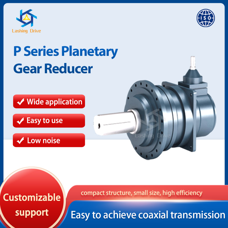 P Series Planetary Gear Reducer