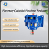 Planetary Cycloidal Pinwheel Horizontal Reducer