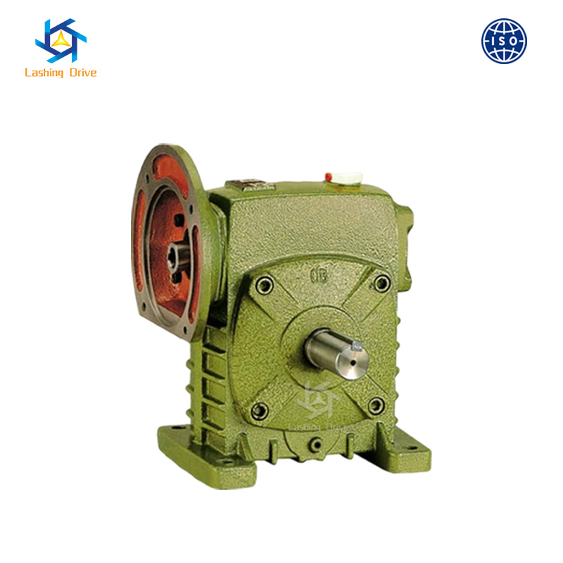 WP Worm Reducer Application and Design